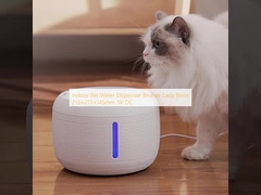 Dispensador de água para animais de estimação de interior Resina Lady Bronze 213×213×145mm 5V DC