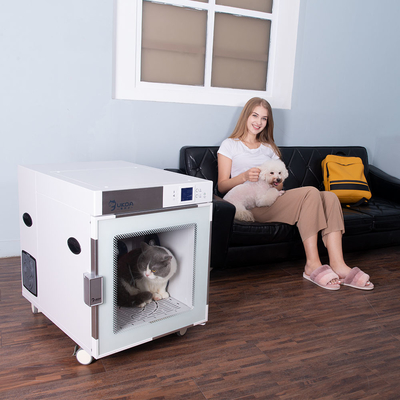 O cão automático que seca íons negativos da caixa remove eficazmente as bactérias para amaciar o cabelo