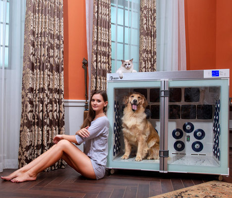 ventiladores mais secos da gaiola 6 do animal de estimação de 220V 2500W de baixo nível de ruído para a preparação do cão
