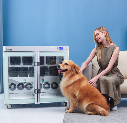 Silêncio mais seco Ion Bath negativo 220V 2700W da caixa do cão do encaixotamento plástico