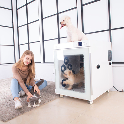 Controle de temperatura inteligente automático da conversão de frequência da sala de secagem do ANIMAL DE ESTIMAÇÃO