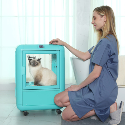 animal de estimação 220V automático que seca a preparação de secagem de baixo nível de ruído do cão do armário da caixa