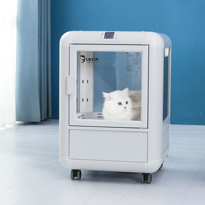 Cão azul que seca a preparação automática do armário com sensor de temperatura